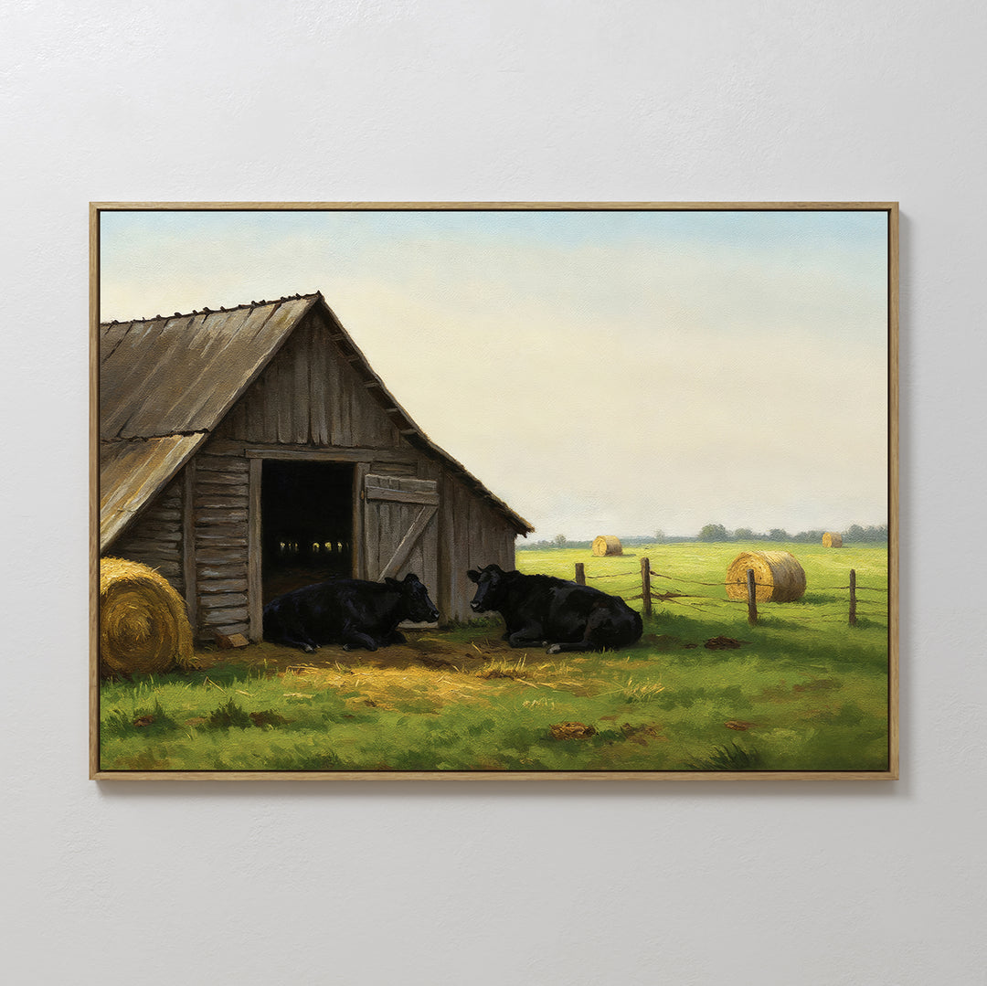 Barnside Rest Canvas Art features two black cows resting by a weathered barn in a grassy field, making it perfect farmhouse wall art to add rustic charm and warmth to your living room decor.
