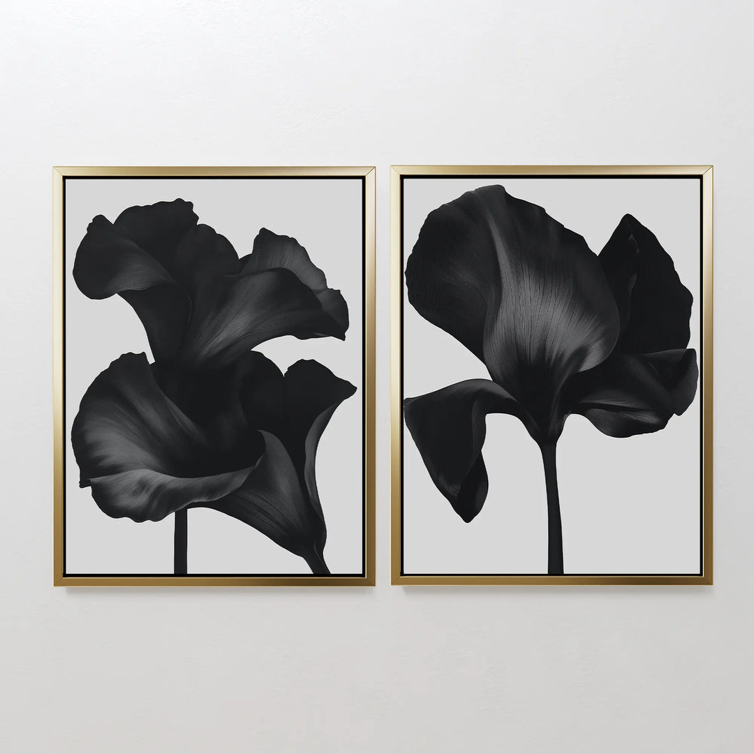 The Noir Bloom Set of 2 features framed black floral prints, each showcasing a single large blossom with dramatic lighting—an eye-catching piece of contemporary wall art perfect for any plain white wall.