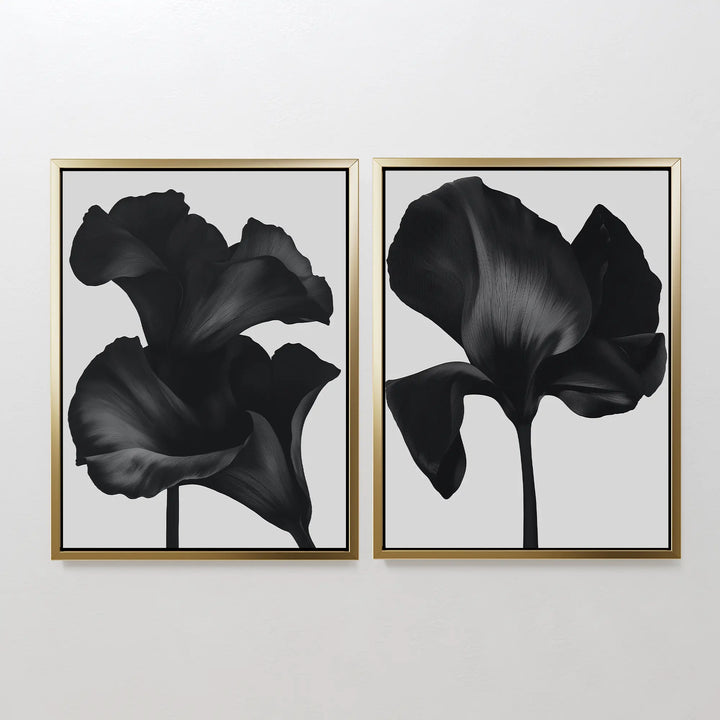 The Noir Bloom Set of 2 features framed black floral prints, each showcasing a single large blossom with dramatic lighting—an eye-catching piece of contemporary wall art perfect for any plain white wall.