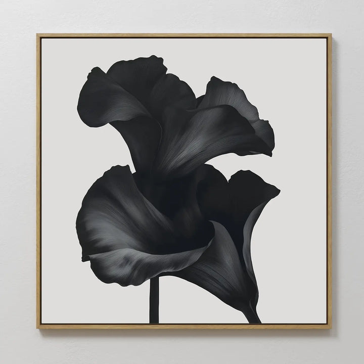 The Noir Bloom Canvas Art - Square features two elegant, dark-toned calla lilies with soft petals on a white background—ideal minimalist wall art for modern living room decor.