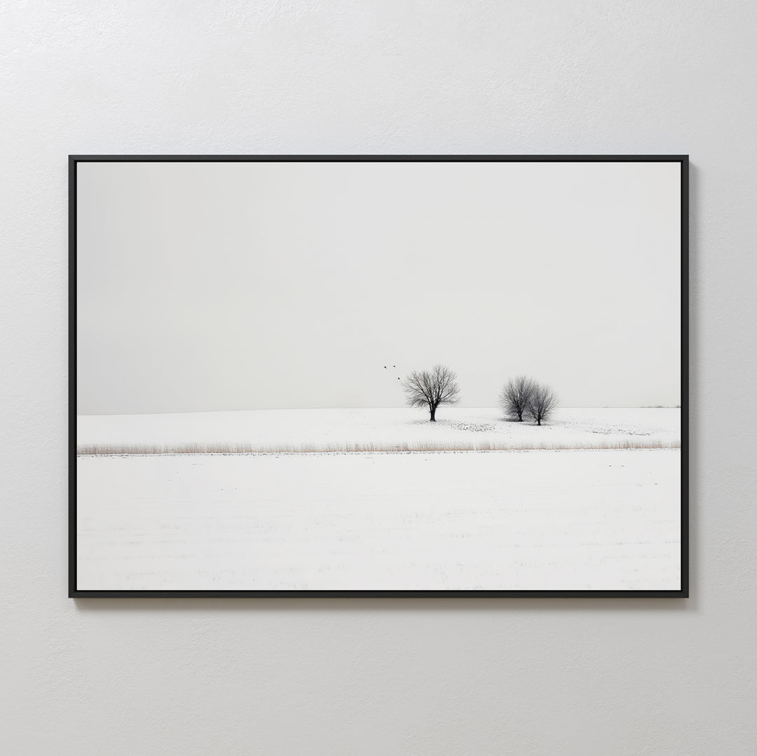 Winter Silence Canvas Art captures a minimalist snow-covered landscape with two leafless trees and three birds beneath a pale sky. This serene scene, framed simply, makes perfect minimalist wall art for any space.