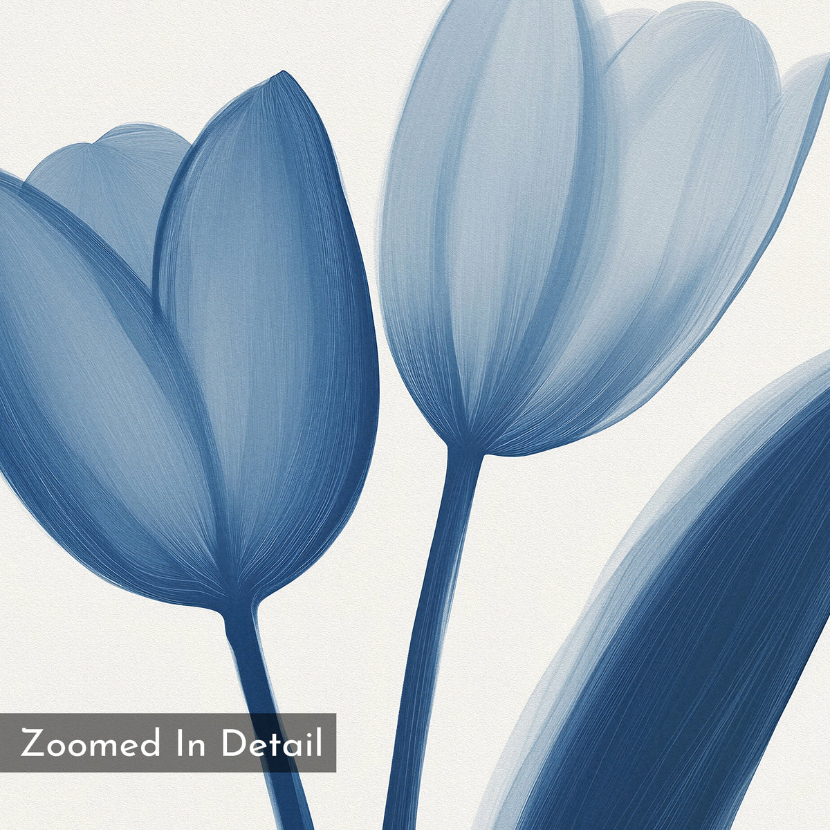 Cerulean Tulips Canvas Art - Horizontal: A digital illustration of cerulean tulips and a single leaf in soft blue on white, labeled "Zoomed In Detail." This botanical print brings Nordic Park aesthetics to any space.