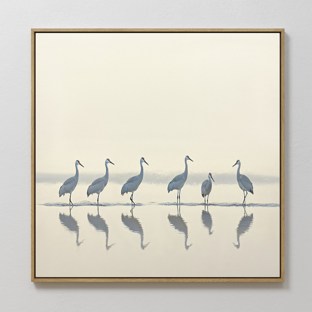 The Sandhill Procession Canvas Art - Square features six cranes standing in shallow water, their reflections visible against a soft neutral backdrop—perfect for adding serene elegance to any Nordic Park-inspired space.