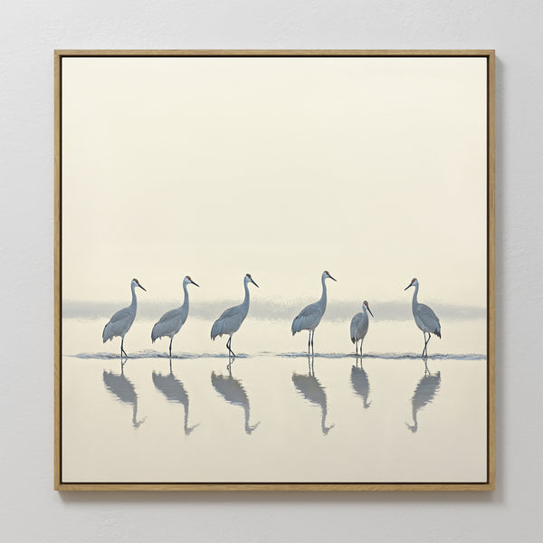 The Sandhill Procession Canvas Art - Square features six cranes standing in shallow water, their reflections visible against a soft neutral backdrop—perfect for adding serene elegance to any Nordic Park-inspired space.