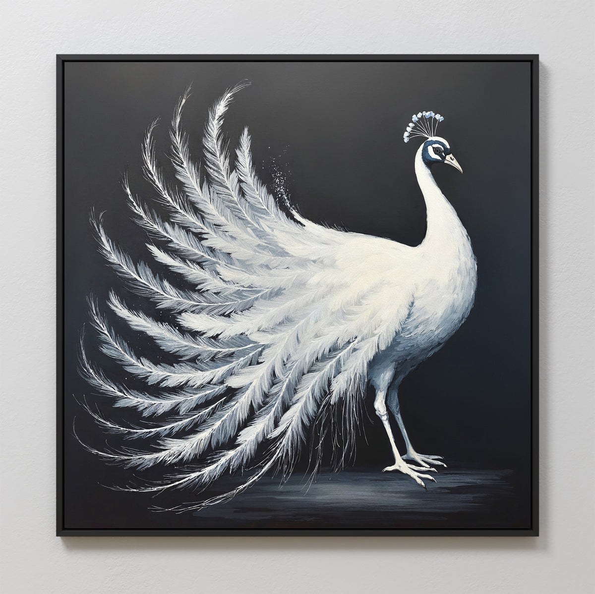 The White Peacock Display Canvas Art - Square features an elegant white peacock with a fanned tail against a dark background, making this framed Nordic-style print stand out beautifully on any light-colored wall.