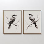 The Still Perch Set of 2 features framed black-and-white bird prints, each showing a bird on a branch facing opposite directions—an elegant Nordic Park accent for your neutral-toned wall art collection.