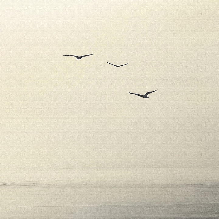 Above the Calm Canvas Art depicts three birds soaring across a softly lit, cloudy sky over a tranquil landscape. This minimalist wall art’s muted tones create a serene atmosphere, ideal for enhancing any modern décor.