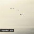 Three birds soar across a pale sky above tranquil water in "Above the Calm Canvas Art"—a perfect minimalist wall decor for modern, serene spaces. "Zoomed-In Detail" is displayed in the bottom left corner.