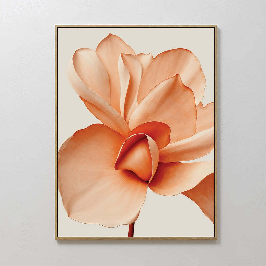Apricot Blossom Canvas Art