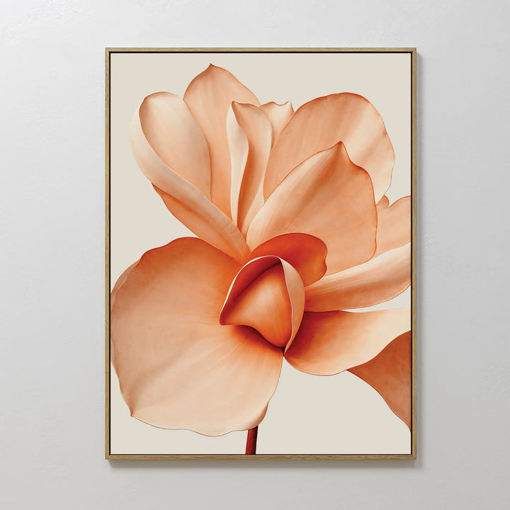 Apricot Blossom Canvas Art