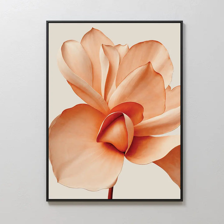 Apricot Blossom Canvas Art