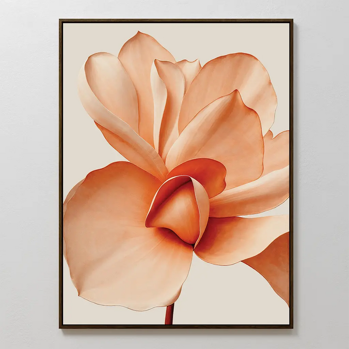 Apricot Blossom Canvas Art