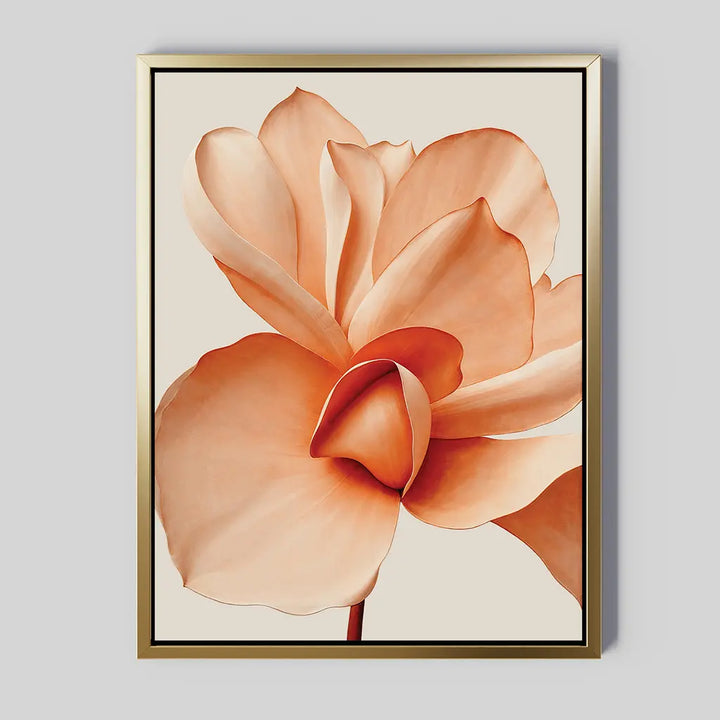 Apricot Blossom Canvas Art