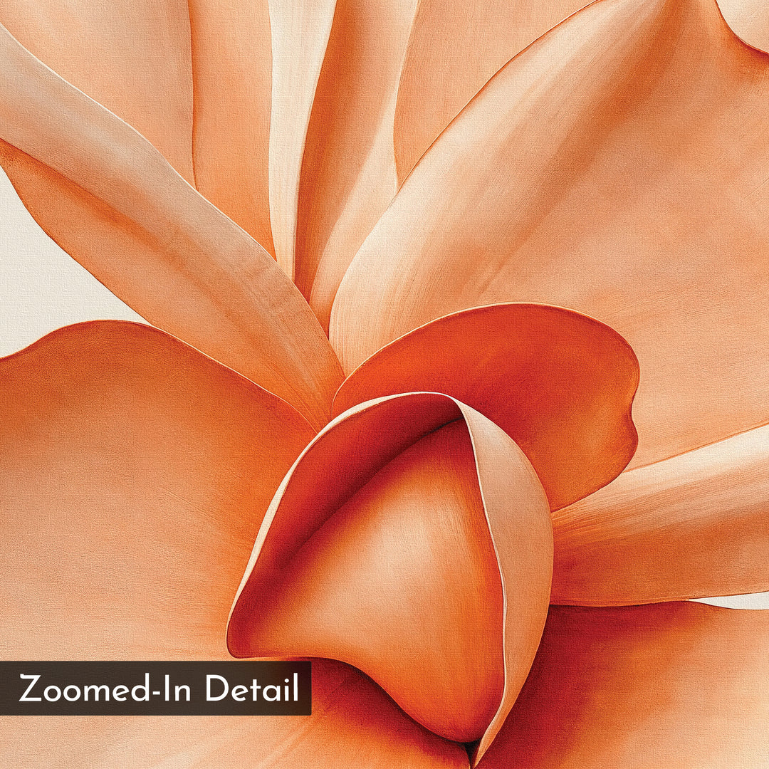 Close-up of an apricot blossom with smooth, curved petals overlapping; ideal as Apricot Blossom Canvas Art for modern bedroom decor. A label in the corner reads Zoomed-In Detail.