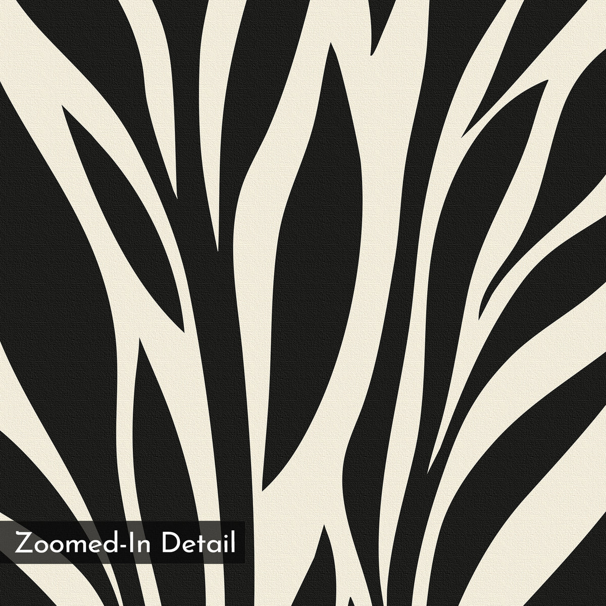 A close-up of Black Palm Study Canvas Art showcases bold, curved black and white lines—a striking minimalist piece for modern interiors. “Zoomed-In Detail” appears in the bottom left corner on a dark rectangle.