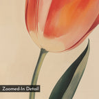 A close-up of a red and yellow tulip with green stem and leaf on a light background. A "Zoomed-In Detail" box appears, making Blush Tulip Canvas Art perfect for stylish bedroom decor or minimalist wall art collections.
