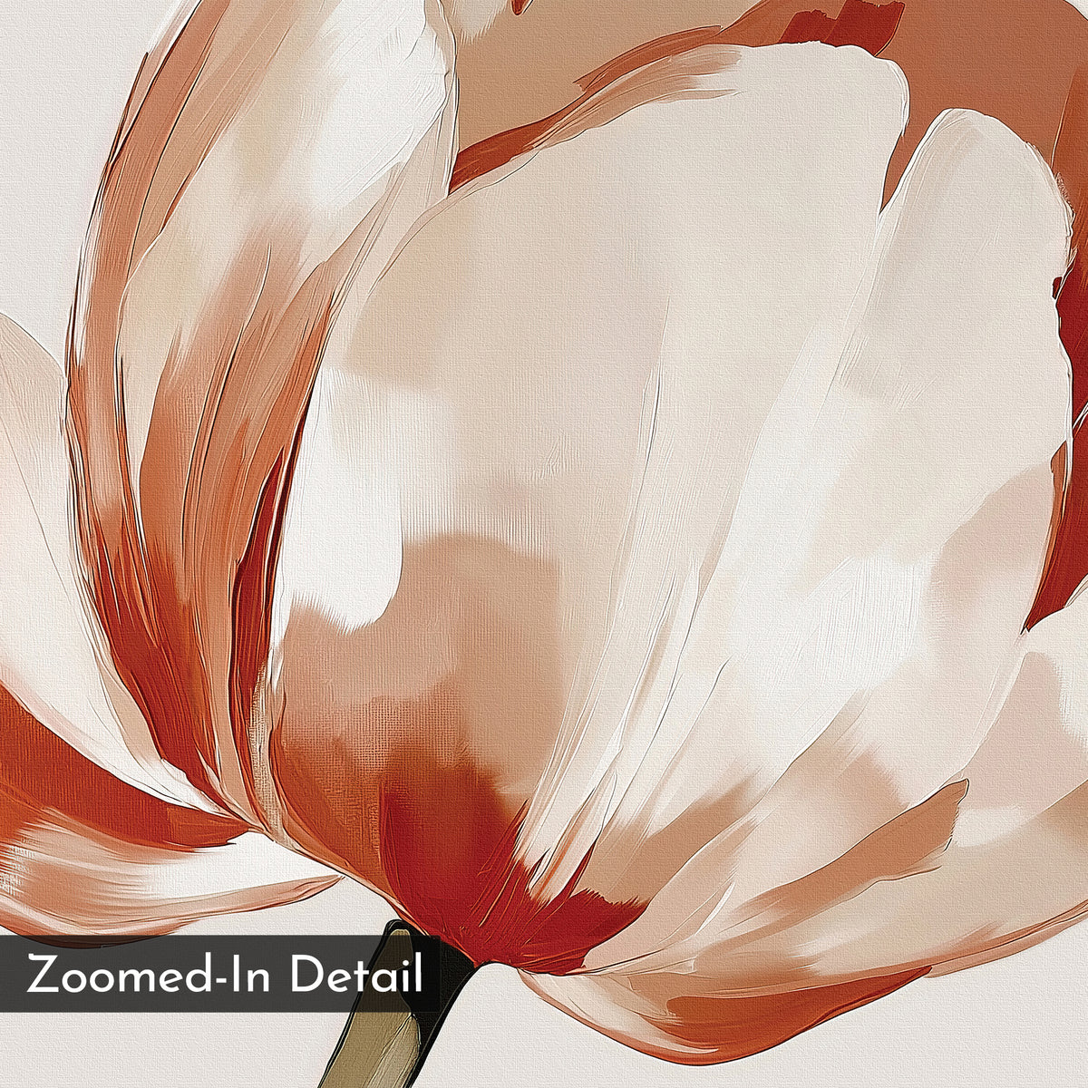 Close-up digital illustration of a tulip with white and reddish-orange petals, ideal as minimalist or floral wall art for bedroom decor. "Zoomed-In Detail" appears in white text on a dark background in the lower left. Blush Tulip Canvas Art.