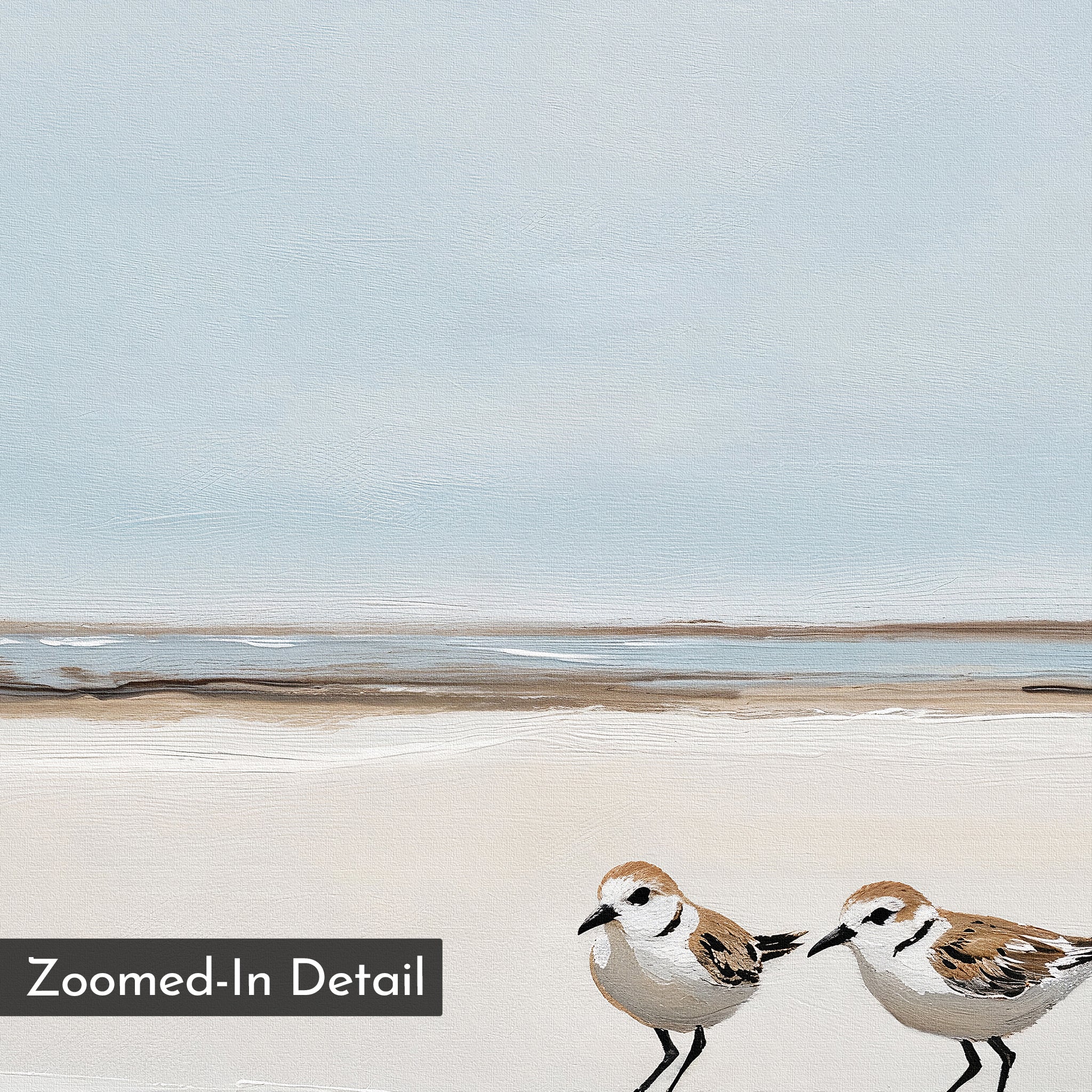 The "Coastal Chase Canvas Art" showcases two small shorebirds on a sandy beach under a calm blue sky with gentle waves. A "Zoomed-In Detail" label appears in the lower-left corner of this serene, minimalist coastal wall art print.