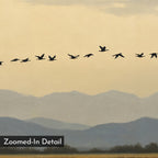 A flock of birds in formation soars above blue-gray mountains and a cloudy sky in the Distant Flight Canvas Art, featuring a “Zoomed-In Detail” label in the lower left corner.