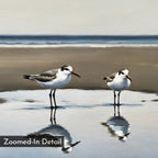 Two seagulls stand in shallow beach water, their reflections shimmering on wet sand beneath a tranquil sea and muted sky. This striking minimalist piece, titled Drifted Calm Canvas Art, features a "Zoomed-In Detail" label in the lower left corner.