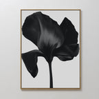 Eclipse Bloom Canvas Art features a close-up of a dark abstract flower with bold petals on a light background—an ideal minimalist piece to elevate your living room decor.