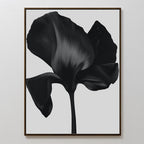 Eclipse Bloom Canvas Art: a framed minimalist wall art featuring a bold black flower on a light gray backdrop—ideal modern decor for your living room.