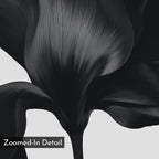 The Eclipse Bloom Canvas Art features a close-up black-and-white image of a flower petal with detailed vein patterns and smooth textures. "Zoomed-In Detail" appears in a box at the bottom left, creating stunning minimalist wall decor.
