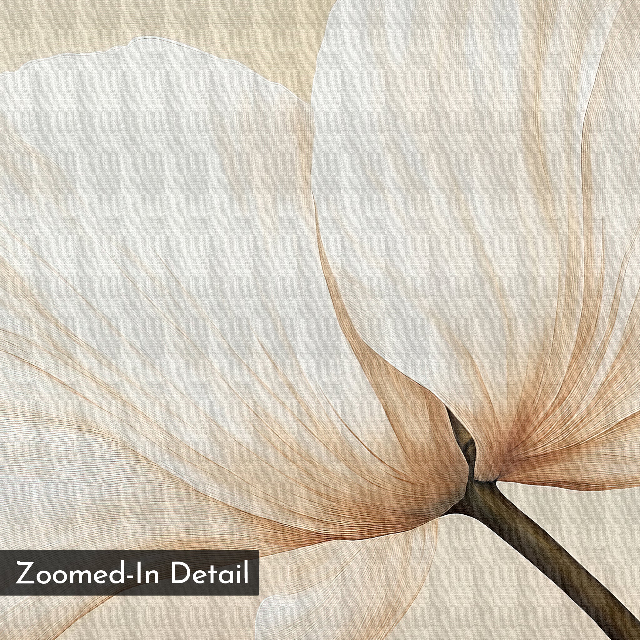 Close-up of pale, translucent petals with delicate veins set against a light background. Gentle Poppy Canvas Art highlights fine details and texture, perfect for minimalist decor. A black rectangle at bottom left reads "Zoomed-In Detail.