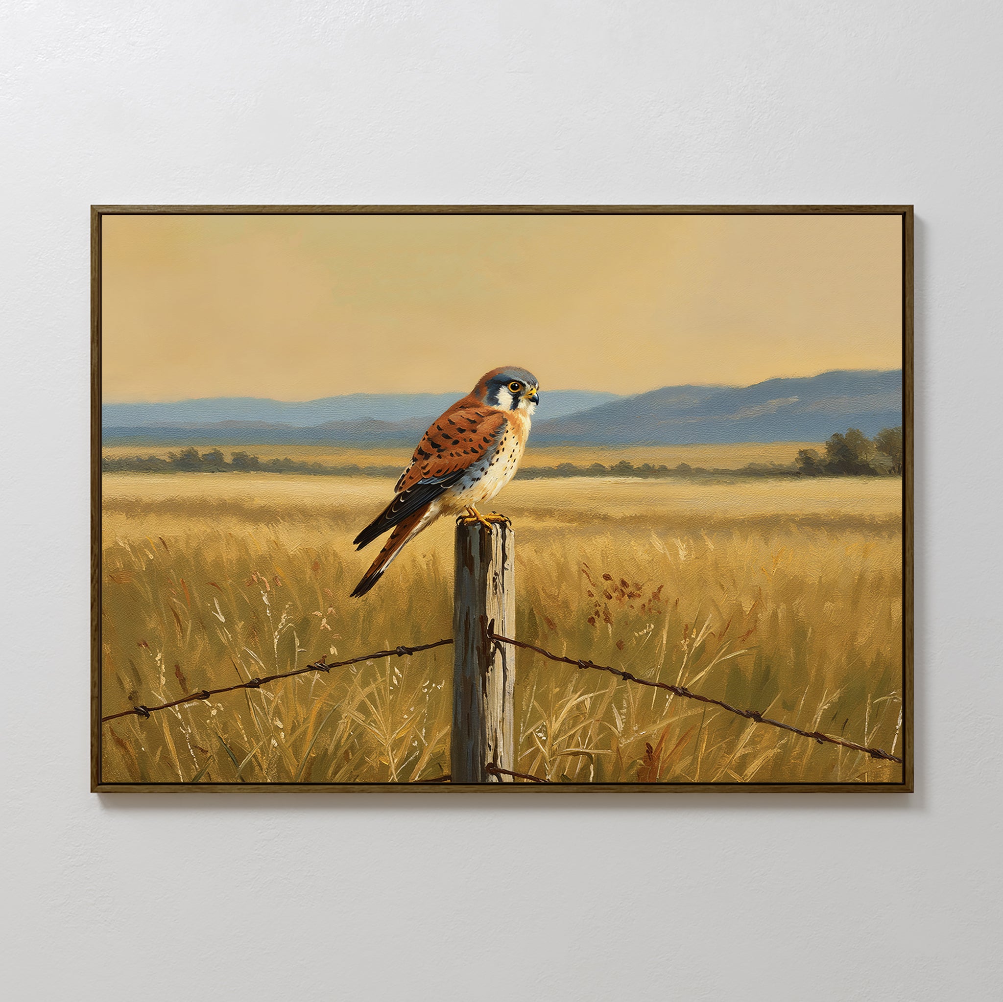 Golden Plains Canvas Art features a small bird of prey perched on a fence post in sunlit grass with distant blue hills—a stunning choice for nature-inspired wall decor or kestrel wall art.