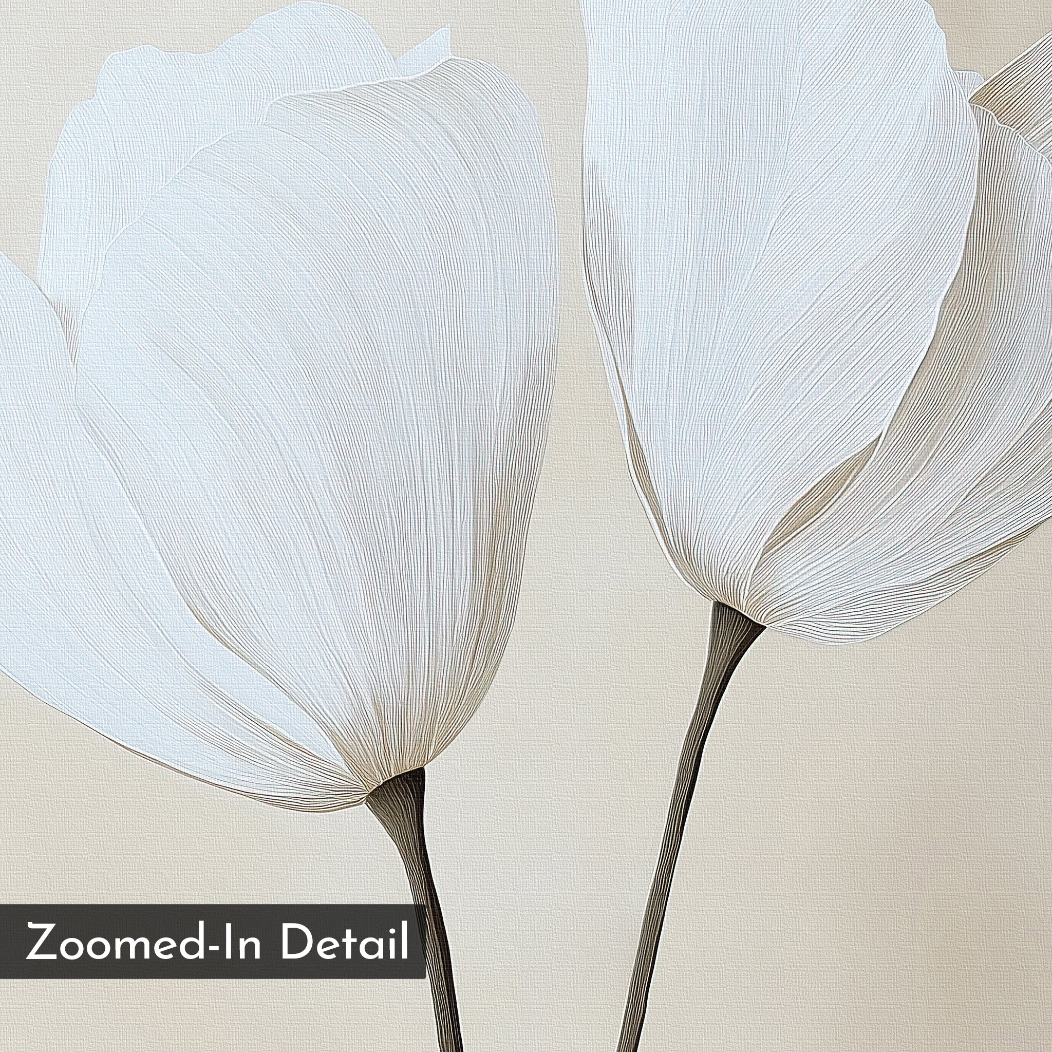 Close-up illustration of two delicate white petals with fine lines and dark stems on a light background—Ivory Buds Canvas Art is perfect floral wall decor for minimalists. A Zoomed-In Detail label appears in the bottom left corner.