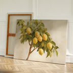The Lemon Essence Canvas Art, featuring a lemon tree branch with green leaves and yellow lemons, leans against a wall beside a blank canvas on a wooden floor—perfect rustic decor for Mediterranean kitchens.