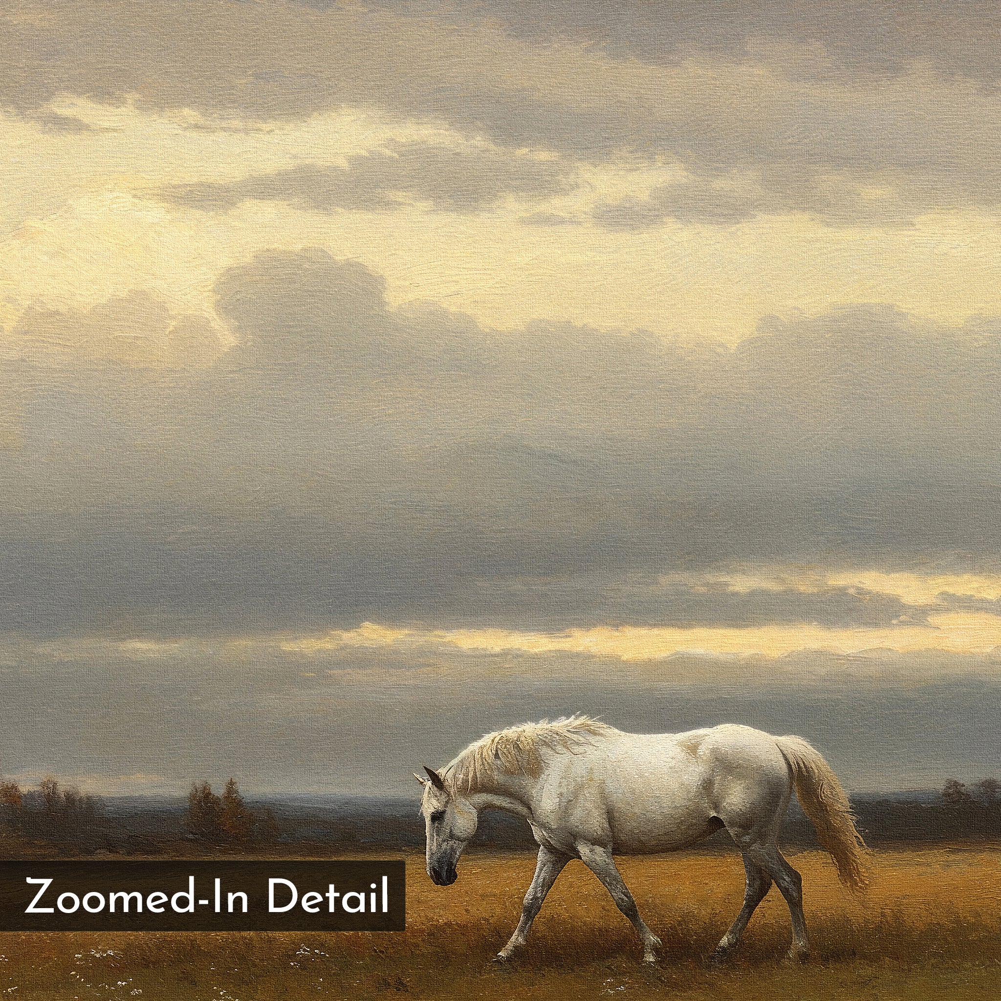A white horse grazes on grass beneath a golden, cloudy sky in "Low Light Walk Canvas Art," featuring a painted, textured look ideal for countryside décor. "Zoomed-In Detail" appears in the lower left corner.