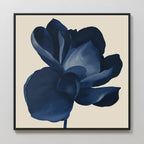The Midnight Bloom Canvas Art – Square features a single dark blue flower with broad petals on a beige background, displayed on a white wall for an elegant touch of minimalist decor.