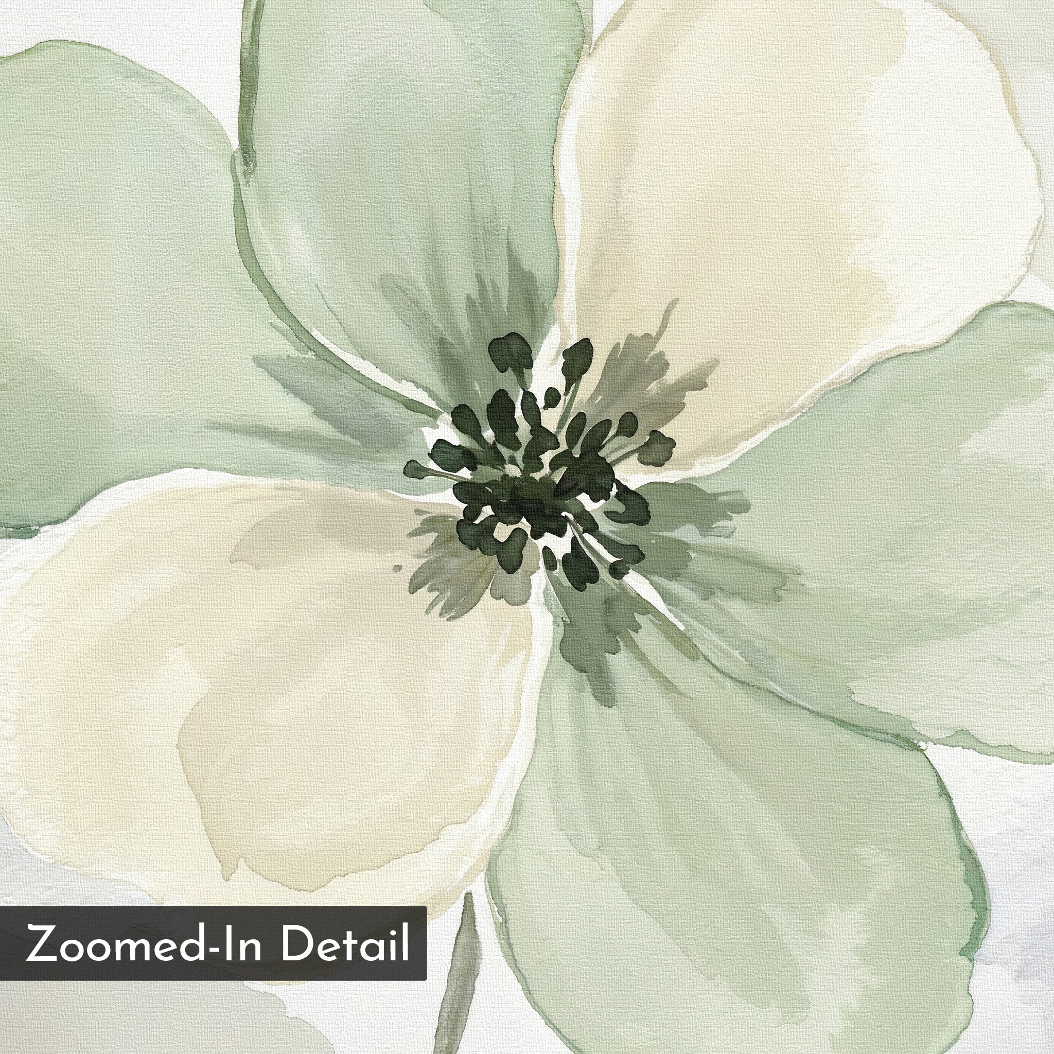 Mint Meadow Canvas Art: A watercolor of pale green and cream flowers with dark green stamens, ideal for minimalist wall decor. "Zoomed-In Detail" label is in the bottom left corner.