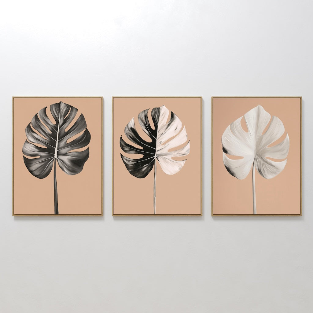 Monstera Elegance Set of 3