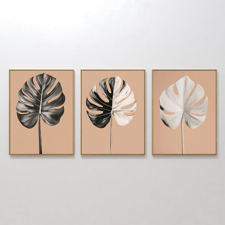 Monstera Elegance Set of 3