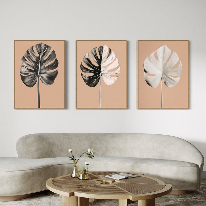 Monstera Elegance Set of 3