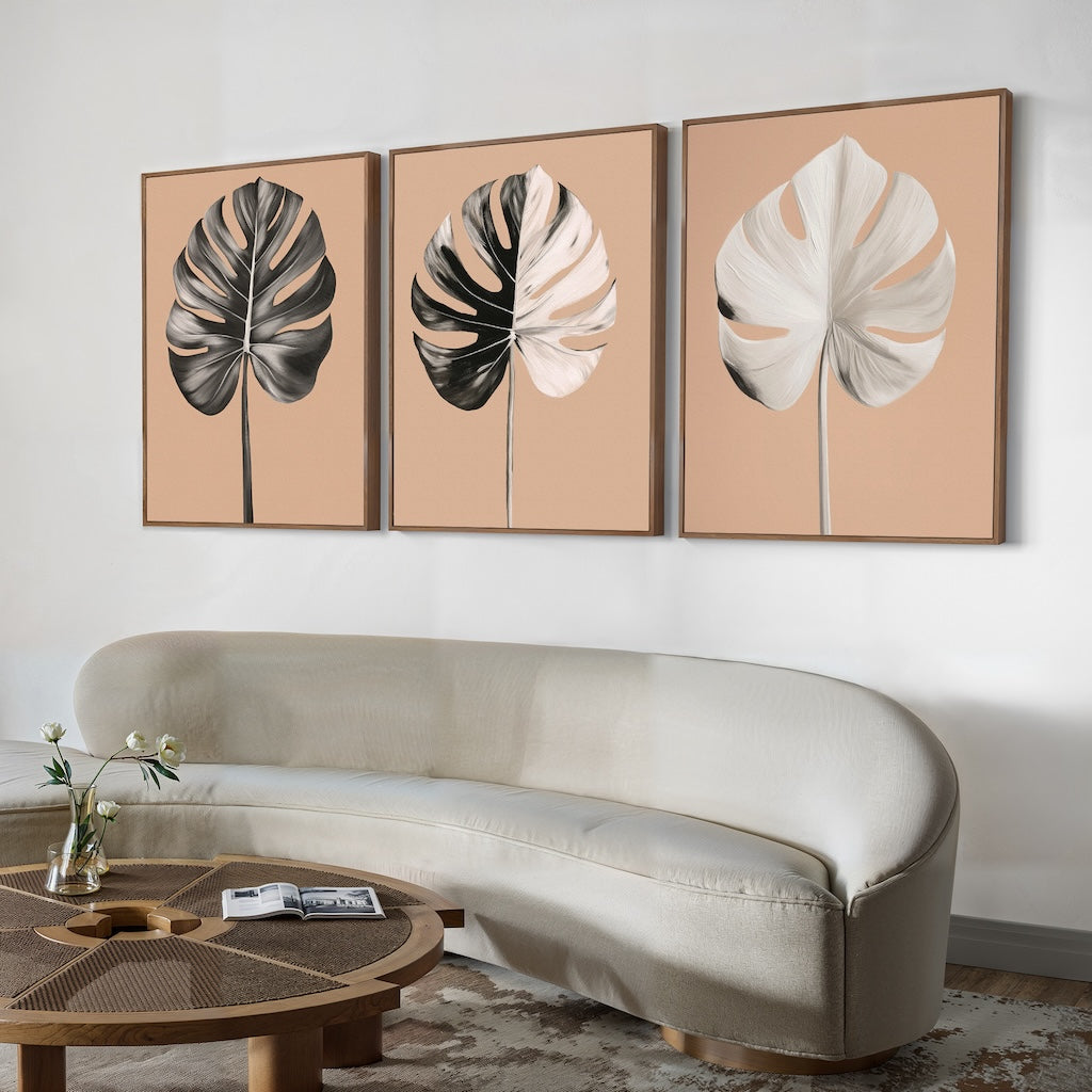 Monstera Elegance Set of 3