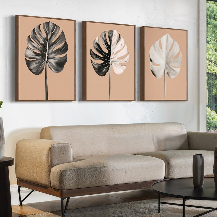 Monstera Elegance Set of 3