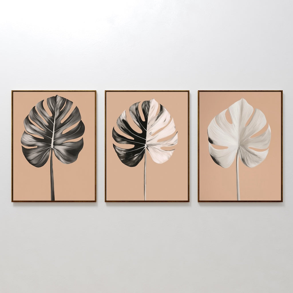 Monstera Elegance Set of 3