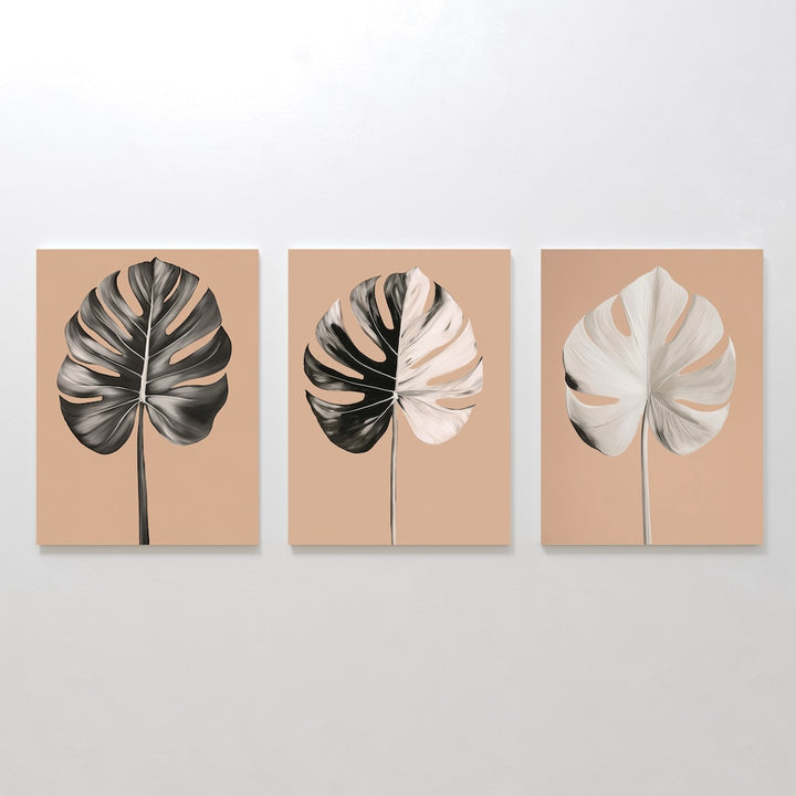 Monstera Elegance Set of 3