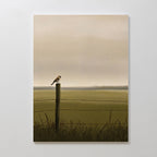 Morning Perch Canvas Art features a small bird resting on a wooden fence post before a wire fence and grassy field under cloudy skies, creating serene minimalist wall decor ideal for earthy interior spaces.
