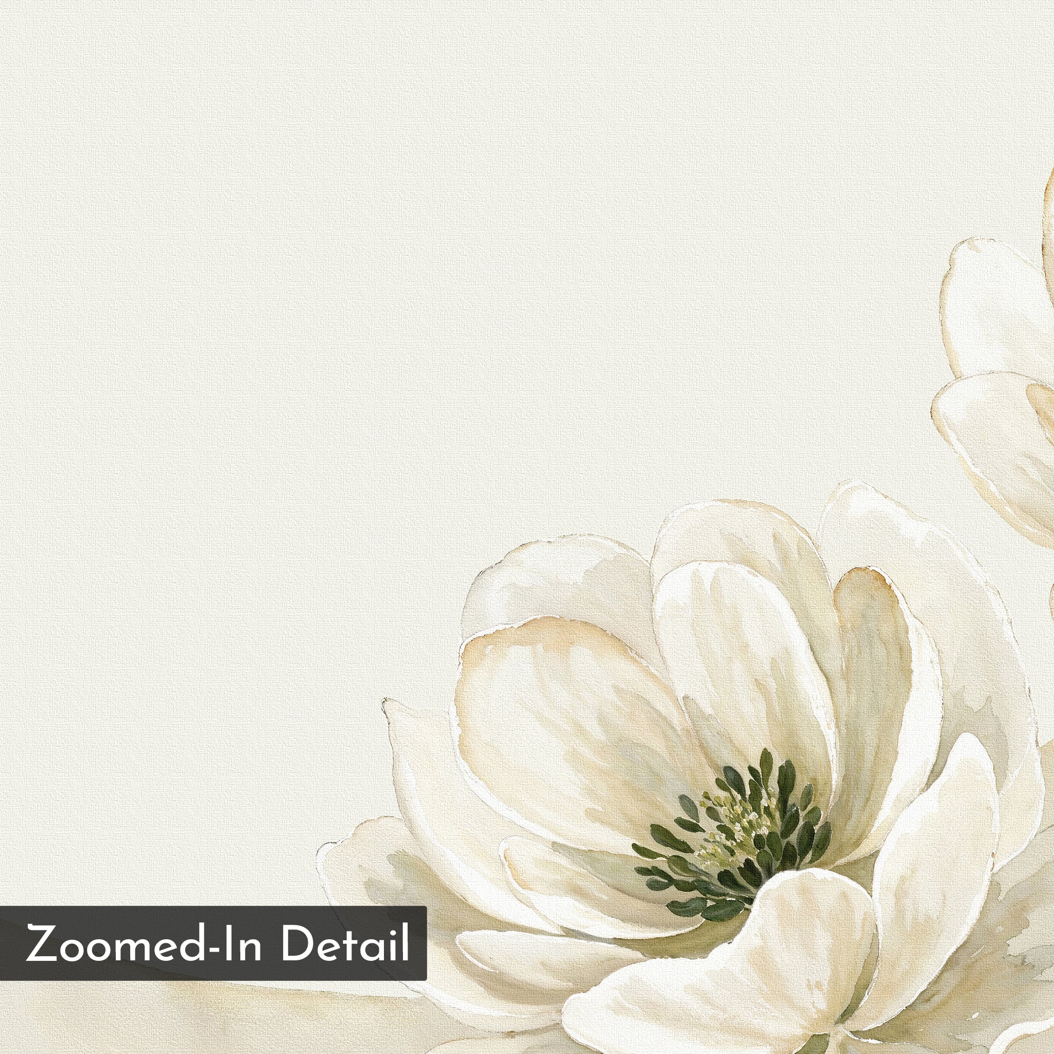 Morning Petals Canvas Art features a close-up of soft beige and white petals with a dark green center on a light background, creating striking minimalist wall art. "Zoomed-In Detail" is displayed in the lower left corner.