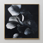 The Nocturnal Bloom Abstract Canvas Art showcases overlapping black, gray, and white floral petals on a dark background, elegantly framed and displayed on a white wall.