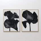The Noir Bloom Set of 2 features framed wall art prints with black flower silhouettes on light gray, each showing a different broad-petaled bloom in a minimalist, contemporary style, hung side by side on a plain white wall.
