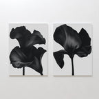 The Noir Bloom Set of 2 features minimalist canvas prints with close-up black iris flowers and soft petals on white backgrounds—perfect contemporary wall art for any space.