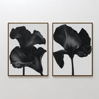 The Noir Bloom Set of 2 features framed black floral prints with detailed single blooms on light gray backgrounds, hung side by side—perfect contemporary wall art for any modern space.