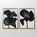 The Noir Bloom Set of 2 features framed black floral prints, each showcasing a single large blossom with dramatic lighting—an eye-catching piece of contemporary wall art perfect for any plain white wall.