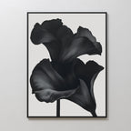 Noir Bloom Abstract Canvas Art features two bold, dark monochrome flowers with sweeping petals on a light background. This minimalist modern piece adds an elegant, abstract touch to your living room decor.