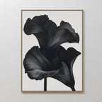 The Noir Bloom Abstract Canvas Art features two dark, abstract flower petals on a white background, creating striking minimalist wall decor ideal for enhancing any modern living room.